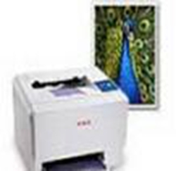 富士施乐Fuji Xerox Phaser 6110打印机