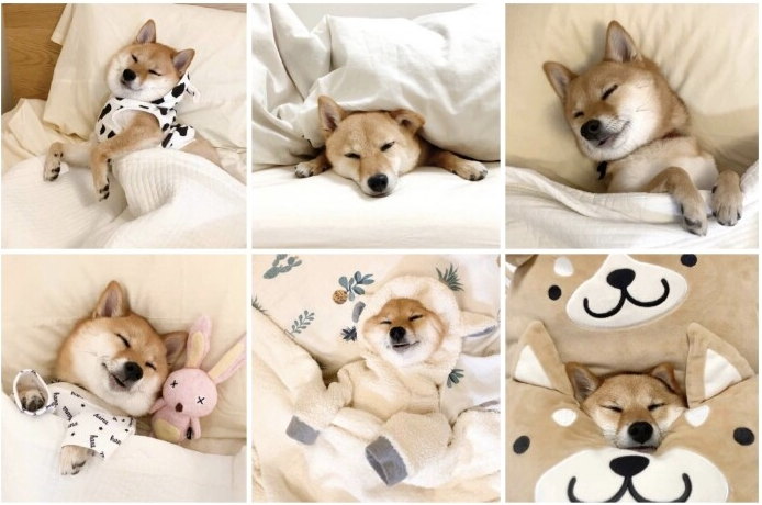 冬日头像(你要是没事做，和我一起过冬吧)