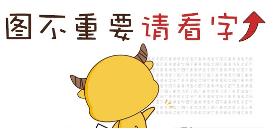 Fotosizer单文件专业版