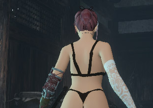 只狼影逝二度蕾丝内衣女忍外观MOD