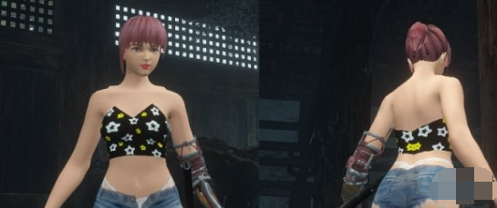 只狼影逝二度短裤抹胸女忍外观MOD