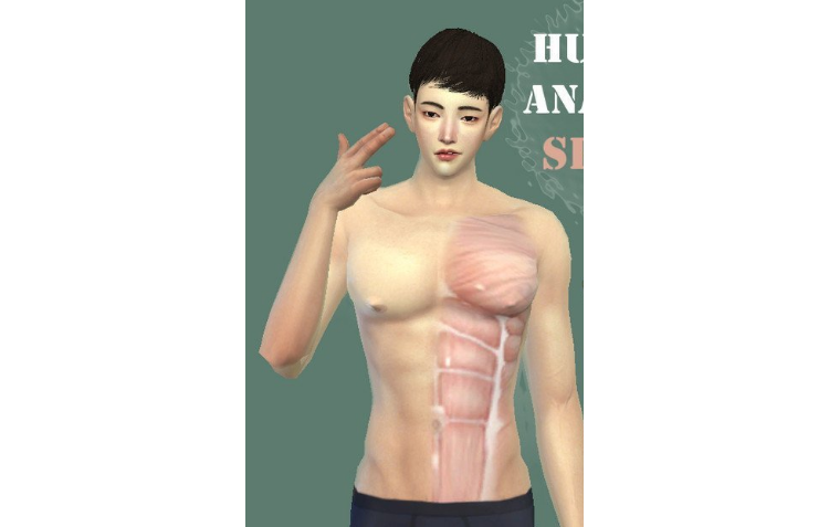 模拟人生4人体解剖皮肤MOD