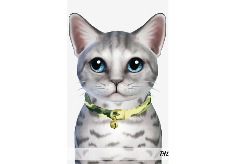 模拟人生4可爱的猫项圈MOD