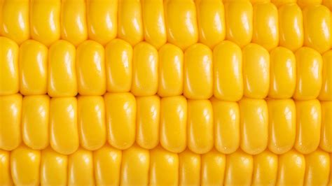 《七日杀》超级玉米食谱扩展MOD