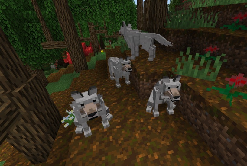 《我的世界》1.12.2真实的动物模型MOD