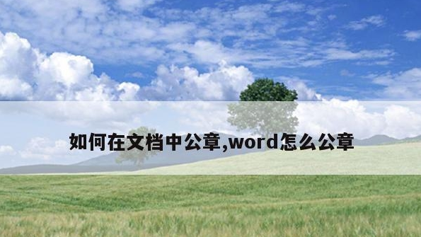 1703128834492956.png image.png