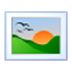 Flora Screensaver(植物屏保) v1.0官方版