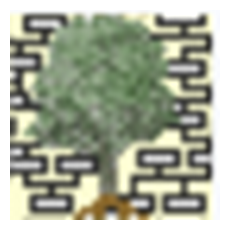 The Complete Genealogy Builder(族谱制作软件) v2018.210702免费版