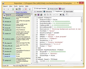 microsoft report viewer 2010 v10.0.30319.1官方版