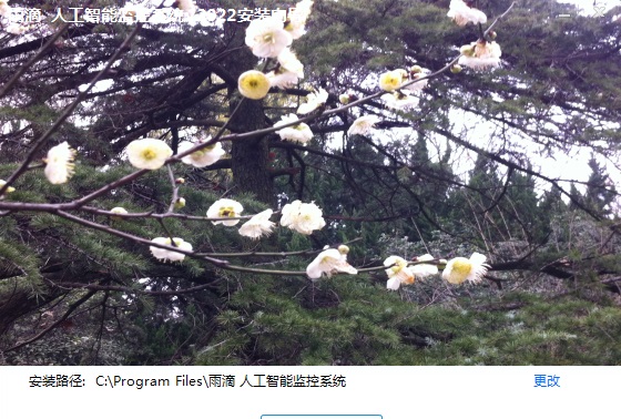 雨滴人工智能监控 v2026