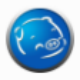 山猪QQ群成员提取软件 v1.8