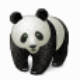 Panda Batch File Renamer(熊猫文件批量改名) v2.9