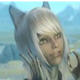 上古卷轴5随从猫女卢内塔mod v1.5