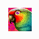 PolyView v4.53