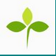 三叶草山东省高中信息技术学业水平考试模拟系统 v4.0.16