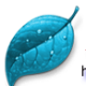 凡人黑莓手机视频转换器 v12.9.0.5