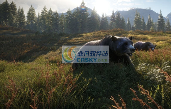 猎人野性的呼唤十二项修改器 v3.5