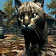 上古卷轴5天际喵星人家猫狸花宠物生物MOD v2.6