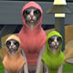 模拟人生4喵星人猫咪单卫衣宠物衣服MOD v2.6