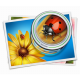 PhotoZoom Classic v8.6