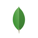 MongoDB Compass for Mac v1.21.6