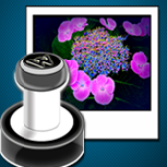 What A Mark水印工具 v1.14