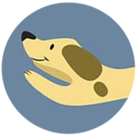 软件多开小工具单文件版 vv1.5