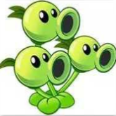 植物大战僵尸源码带数据库 v2.23