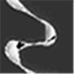 GearTrax2020中文版 v30.10.2028