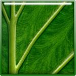 Sharpener Pro 3(PS锐化滤镜) v3.5