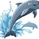 80种动物叫声合集 v4.3