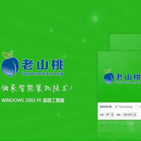 老山桃U盘启动盘制作工具 v2029