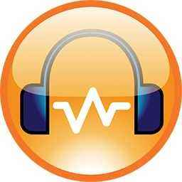 DiskGenius Pro专业版(附有效KEY) v5.4.0.1132