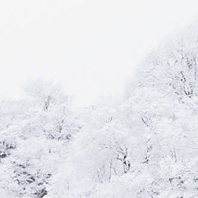 超好看的手机冬日壁纸图片大全 v2.7