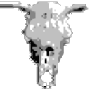 headus 3D tools(三维扫描成像工具) v2.10.09