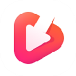 Auslogics Video Grabber(网页视频下载) v1.0.5