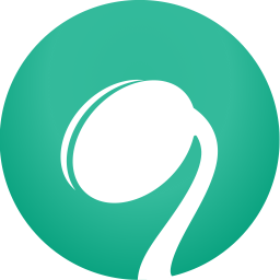 苏宁豆芽2021pc电脑版 v5.30.0.8