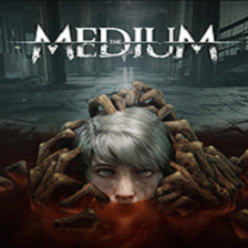 灵媒全分辨率通用超宽屏带鱼屏补丁 v1.4