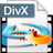 4Easysoft Blu-ray to DivX Ripper(视频转换器) v3.1.33