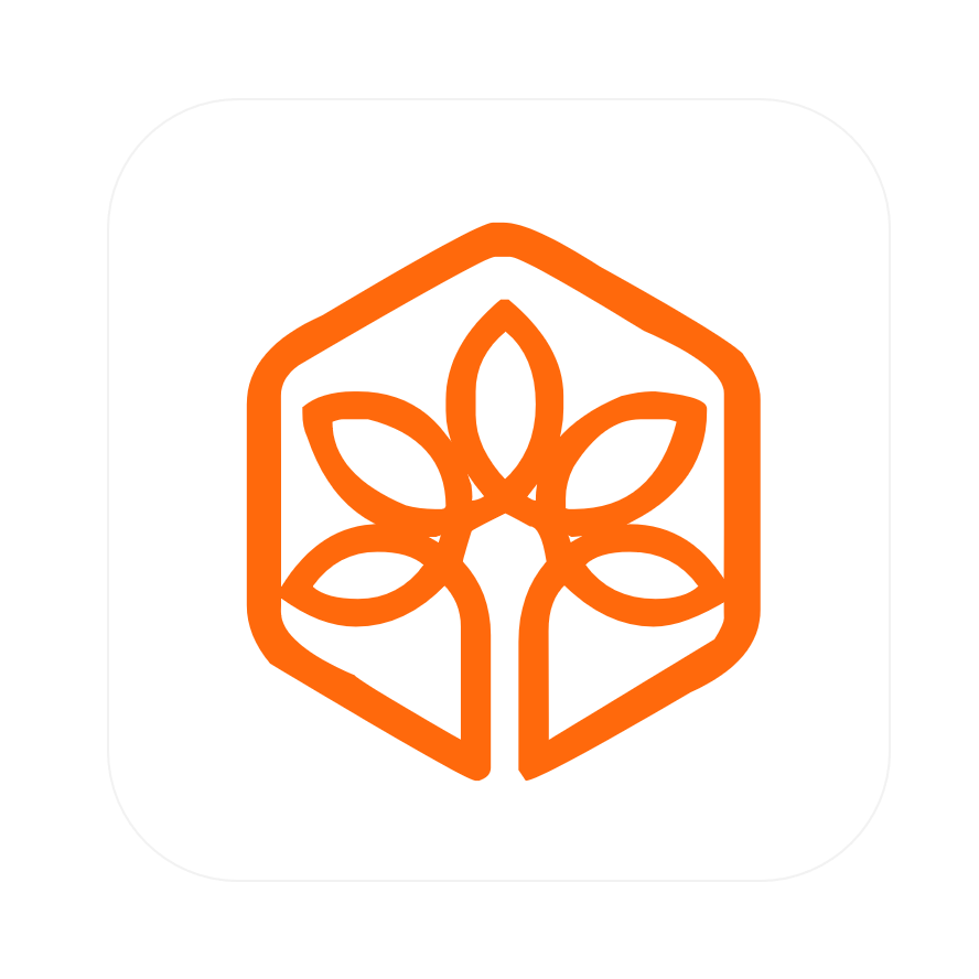 大谱师Maker中文家谱数字编辑软件 v4.5