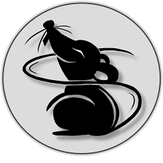 Thief32位/64位绿色版 v4.0.6