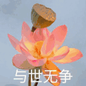 摸鱼锁(窗口自动隐藏) v1.6