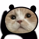 勇敢猫猫不怕困难表情包 v1.7