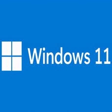 安卓Windows11系统ARM刷机包 v22000.73