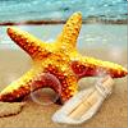 西瓜视频1080P无水印解析 v1.5