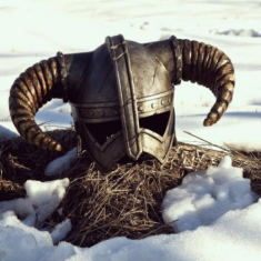 上古卷轴5NPC外貌Mod v2.87