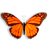 全屏蝴蝶飞舞动态壁纸Butterfly On Desktop v1.94