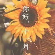 11月文案说说 v1.8