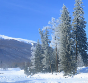 雪景唯美治愈最新图片大全 v1.7