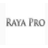 raya pro(ps扩展面板插件) v2.5